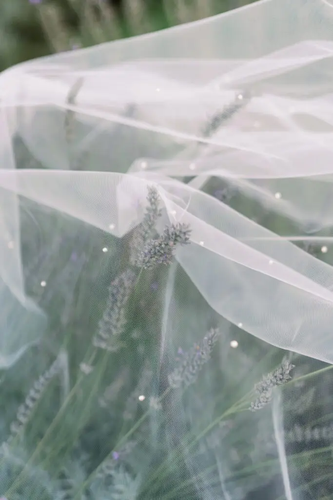 Détails de décoration et fleurs au Domaine de Valbonne